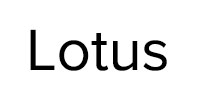 Ремонт стиральных машин Lotus в Сходне